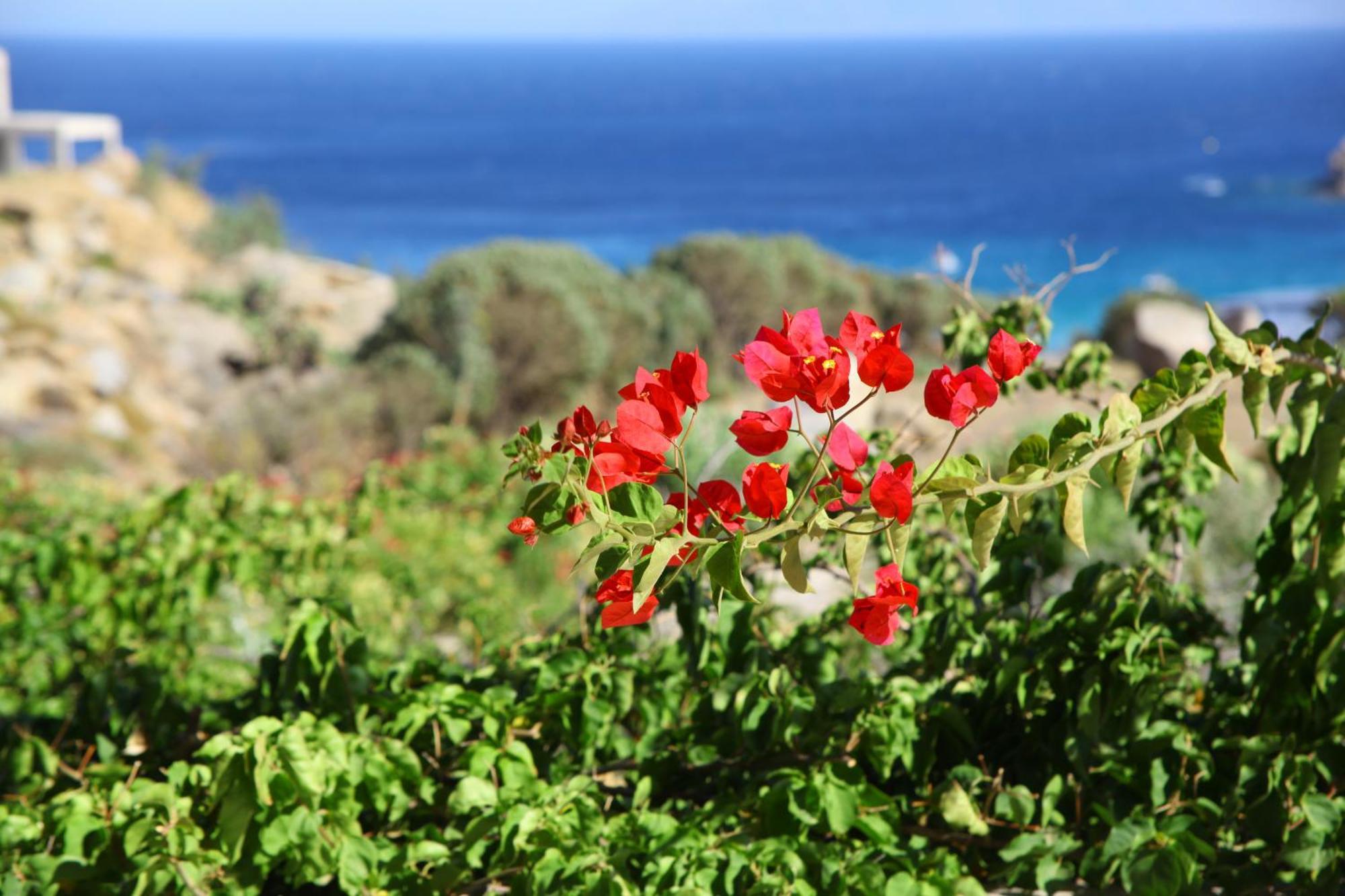 Nama Villas Super Paradise part Kültér fotó